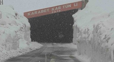 Van'ın yüksek kesimlerde kar yağışı etkili oldu