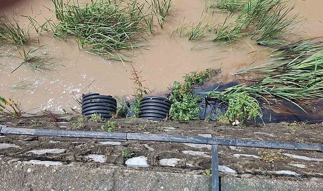 Vatandaşların dikkati çevre kirliliğini ortaya çıkardı: Dereye karışan kimyasal atık Karadeniz'e aktı
