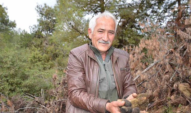 Yanan ormanlık alanda doğanın cömertliği köylüleri sevindirdi: Fiyatı gram altında yarışıyor