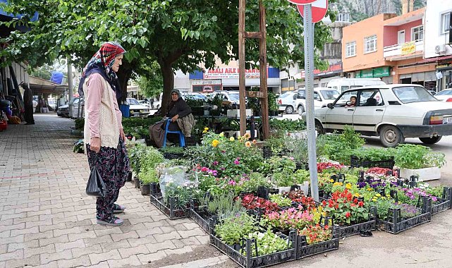 Yayla sezonu öncesi ata tohumu fidelerine yoğun talep