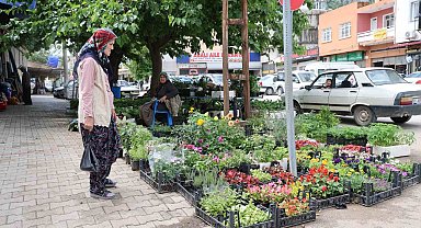 Yayla sezonu öncesi ata tohumu fidelerine yoğun talep