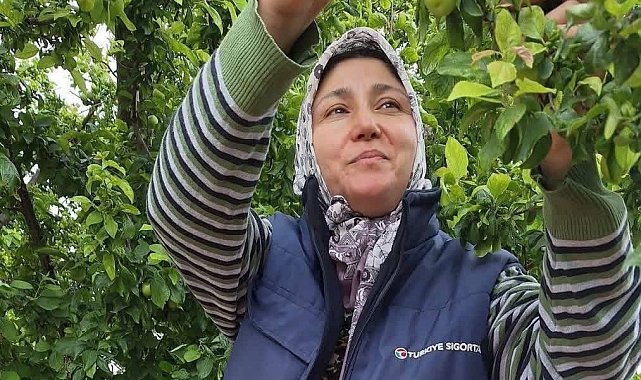 Yaz meyvelerinde bereket üreticinin yüzünü güldürdü