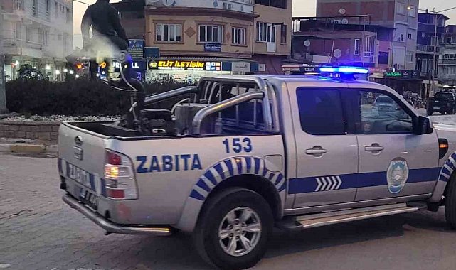 Yenipazar'da sivrisinek ve haşerelere karşı ilaçlama seferberliği