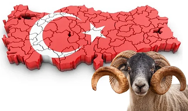 Yoğun gündeme bayram molası!