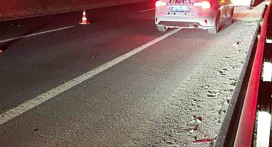Yola çıkan atlar zincirleme kazaya neden oldu