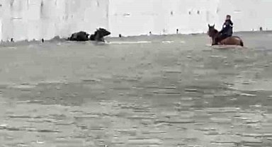 Yükselen suda mahsur kalan mandaları atıyla kurtardı