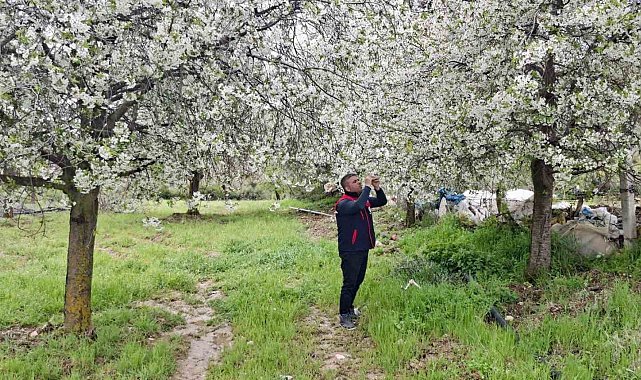 Zirai don uyarısı yapılan bölgelerde hasar tespit çalışması yapıldı