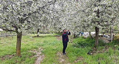 Zirai don uyarısı yapılan bölgelerde hasar tespit çalışması yapıldı