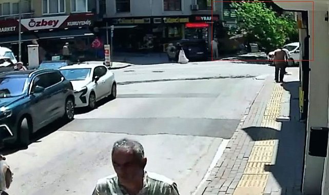 150 yıllık çınar böyle devrildi