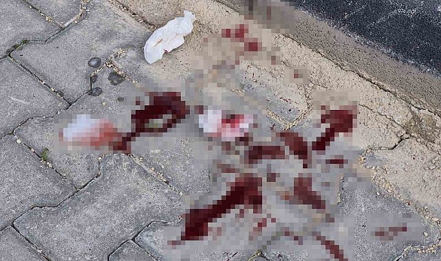 16 yaşındaki çocuk caddede bacağından bıçaklandı