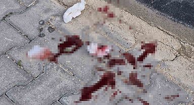 16 yaşındaki çocuk caddede bacağından bıçaklandı