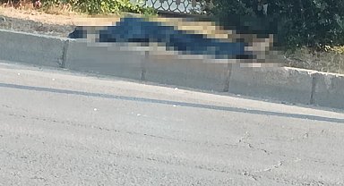 Adana'da minibüsün çarptığı yaya hayatını kaybetti