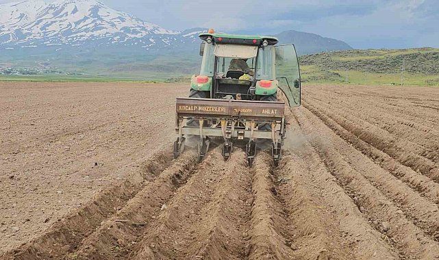 Adilcevaz'da fasulye ekimi başladı