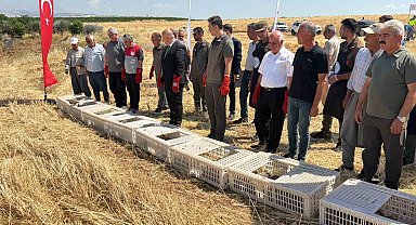 Adıyaman doğasına bin adet keklik salındı