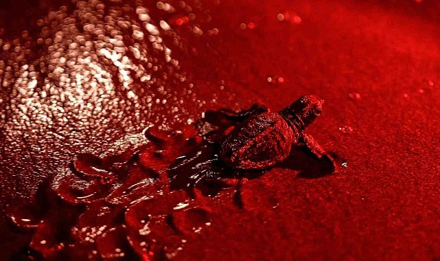 ADM Elektrik, Fethiye kıyılarını 'kırmızı ışık' ile aydınlatacak