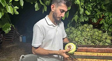 Ailecek enginar soyucular: Soyması 10 saniye sürüyor