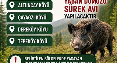 Akçakoca'da domuz avı yapılacak