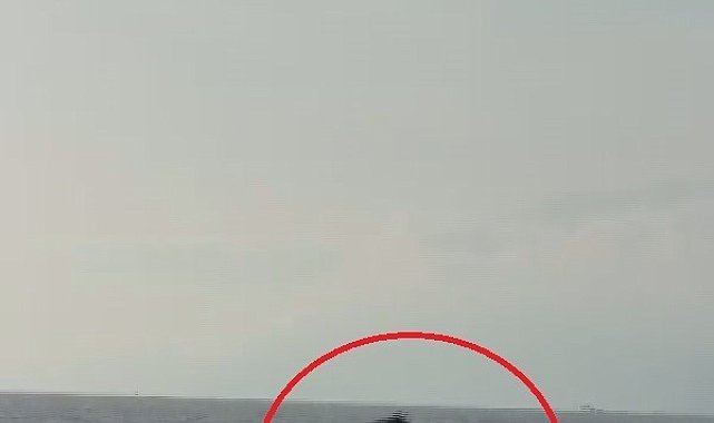 Akdeniz açıklarında balıkçı teknesini selamlayan yunuslar görüntülendi