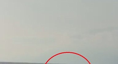 Akdeniz açıklarında balıkçı teknesini selamlayan yunuslar görüntülendi