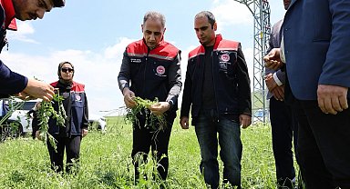 Akyaka'da dolu yağışı tarım arazilerini vurdu: Hasar tespit çalışmaları sürüyor