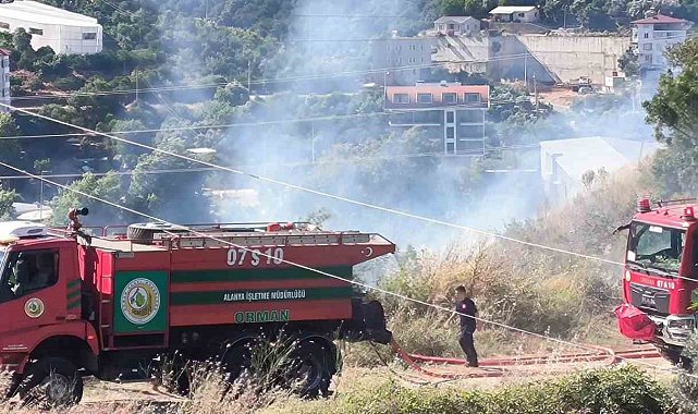 Alanya'da zirai alanda çıkan yangında 1 dönüm zarar gördü