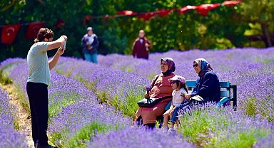 Altıeylül'de mor şölen ilgi gördü