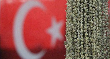 Amasyalı bamyacılar Uganda bamyasını ombudsmana şikayet etti