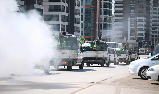 Ankara Keçiören'de 7/24 ilaçlama seferberliği