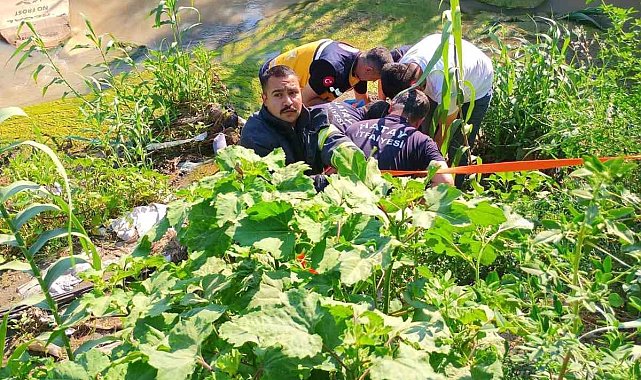 Antakya'da dereye uçan motosikletin sürücüsü yaralandı