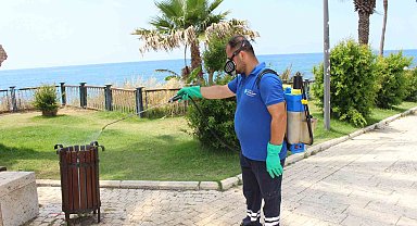Antalya'da vektörle mücadele 19 ilçede sürdürülüyor