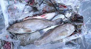  Antalya'da 260 kilo balığa el konuldu