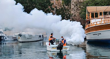 Antalya'da sahil bandında vektörle mücadele