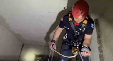 Apartman boşluğuna düşen yavru martı ekiplerce kurtarıldı