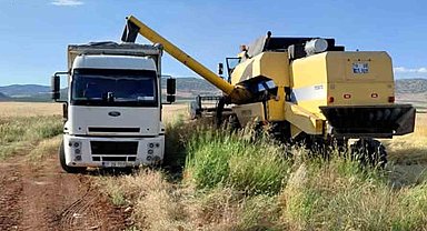 Araban Ovası'nda arpa hasadı yapılmaya başlandı