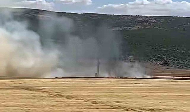 Araban Ovası'nda hasada hazır 93 dönüm buğday kül oldu