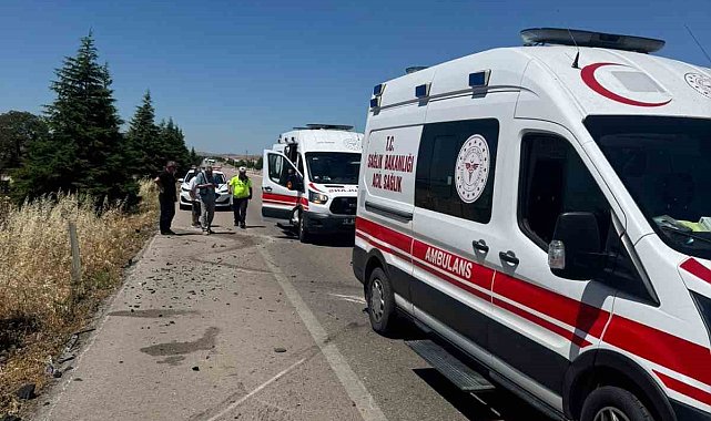 Arının neden olduğu kazada 1 kişi hayatını kaybetti, 4 kişi yaralandı