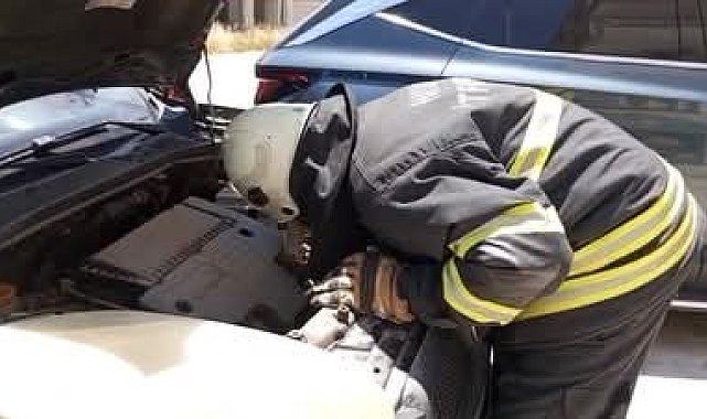 Arsuz'da aracın motor kısmına giren yavru kedi kurtarıldı