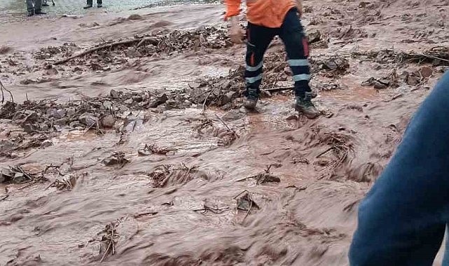 Artvin'de sağanak sonrası dereler taştı