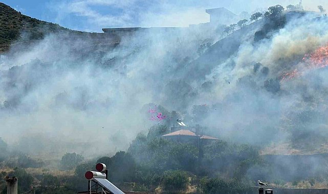 Ayvacık'ta makilik alanda yangın çıktı