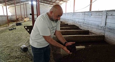 Bahçesinde ürettiği solucan gübresi gelir kaynağı oldu