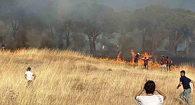 Balıkesir Ayvalık'ta çıkan örtü yangınına müdahale ediliyor