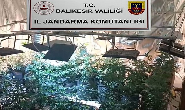 Balıkesir'de jandarmadan uyuşturucu serasına çevrilen evlere baskın: 12 gözaltı