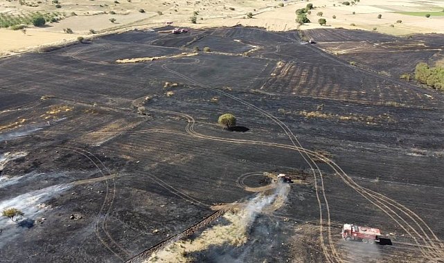 Balıkesir'deki arazi yangını söndürüldü