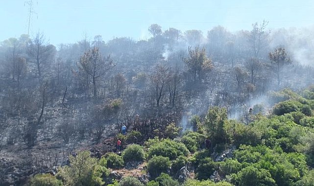 Balıkesir'deki orman yangını kontrol altına alındı