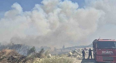 Balıkesir'deki orman yangını kontrol altına alındı