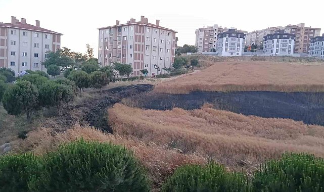 Bandırma'da buğday tarlası yangını korkuttu