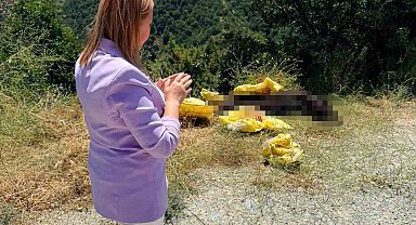 Başkan Tekin'den yol kenarına bırakılan hayvan leşine sert tepki