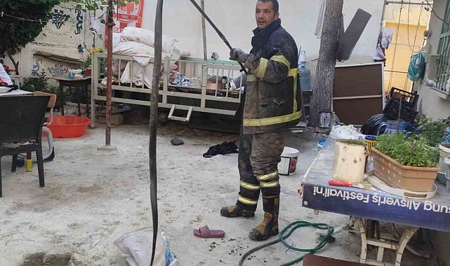 Batman'da evin bahçesine giren yılan paniğe neden oldu