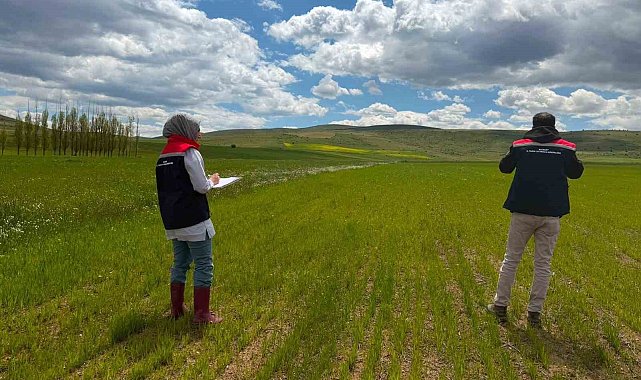 Bayburt'ta ÇKS ürün beyanı kontrolleri başladı