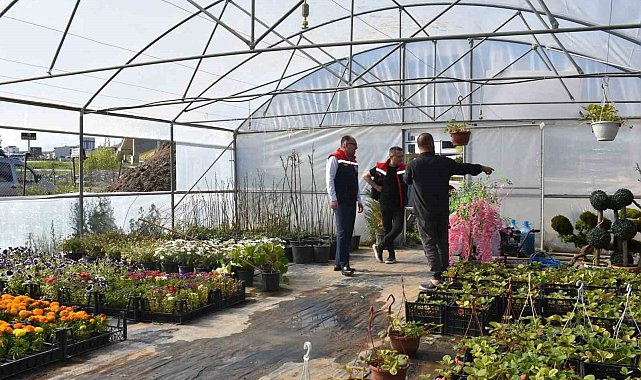 Bayburt'ta süs bitkisi ve tıbbi aromatik bitki üretimi yerinde incelendi